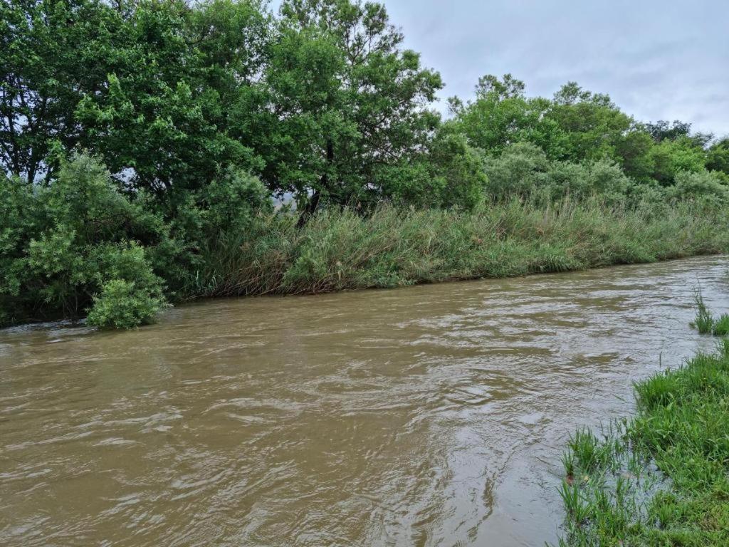 Crocodile Sands River Lodge Mbombela Екстериор снимка